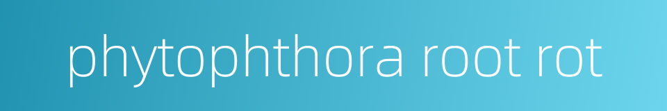 phytophthora root rot的同义词