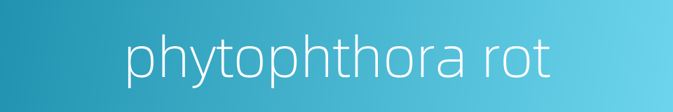 phytophthora rot的同义词