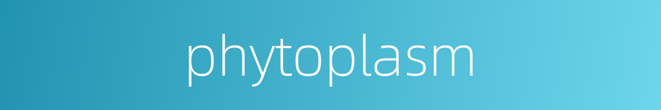 phytoplasm的同义词