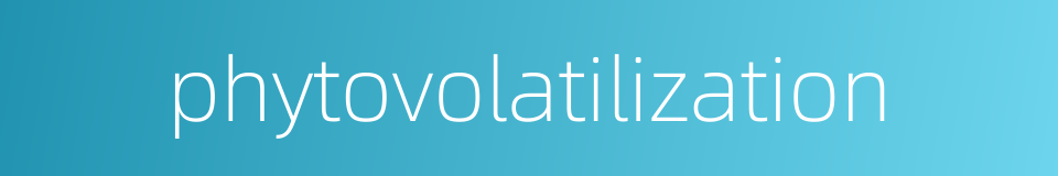 phytovolatilization的同义词