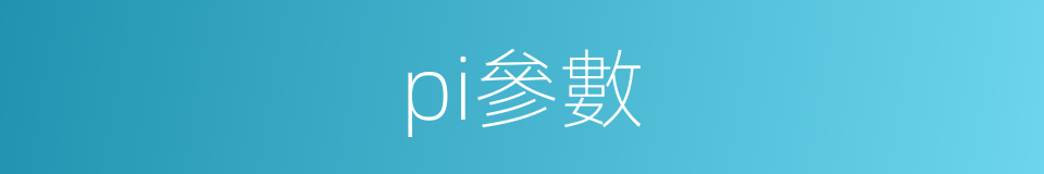 pi參數的同義詞