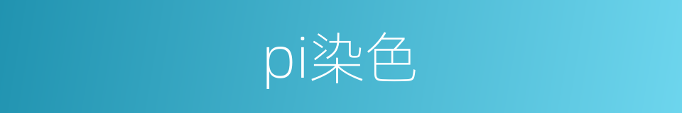 pi染色的同义词