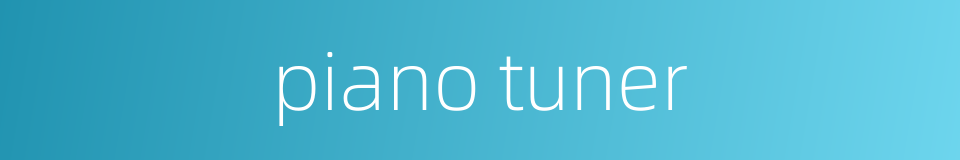 piano tuner的同义词