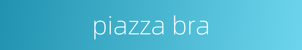 piazza bra的同义词
