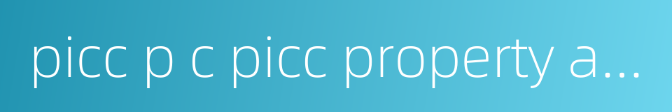 picc p c picc property and casualty company limited的同义词