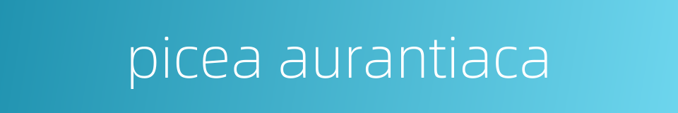 picea aurantiaca的同义词