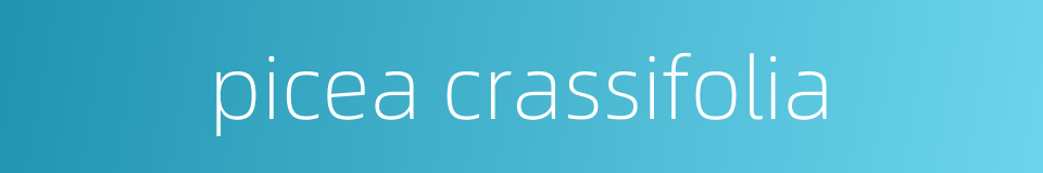 picea crassifolia的同义词