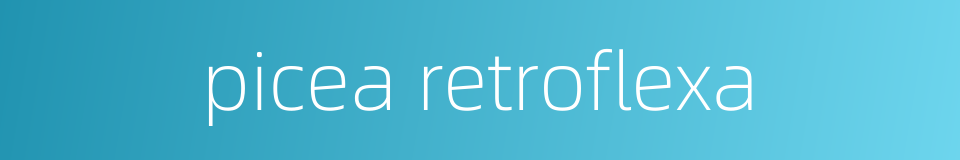 picea retroflexa的同义词