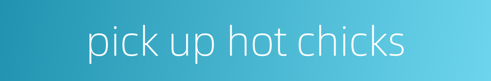 pick up hot chicks的同义词
