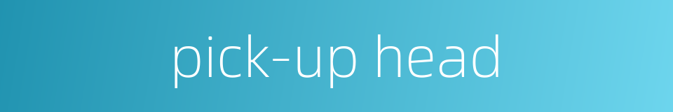 pick-up head的同义词