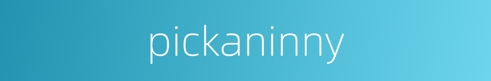 pickaninny的同义词