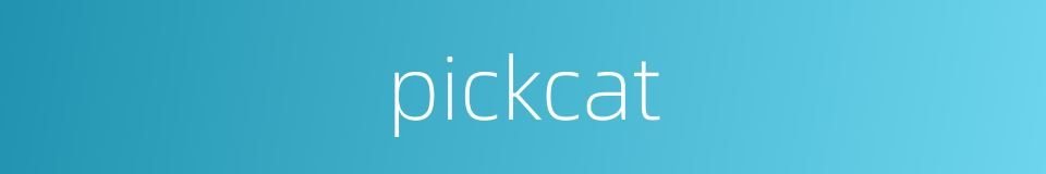pickcat的同义词