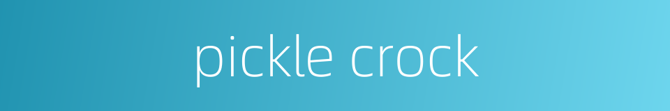 pickle crock的同义词