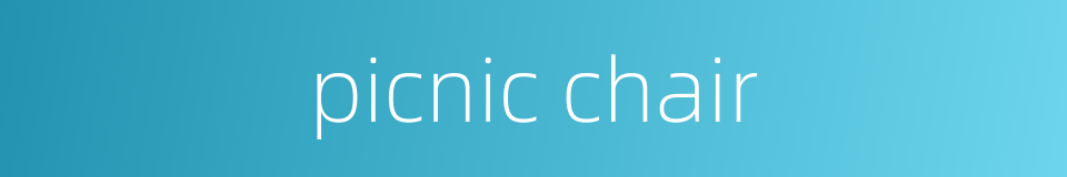 picnic chair的同义词