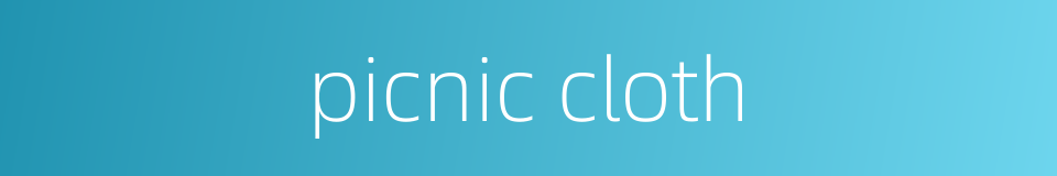 picnic cloth的同义词