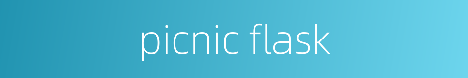 picnic flask的同义词