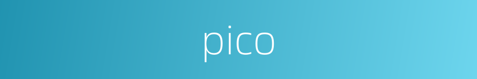 pico的同义词