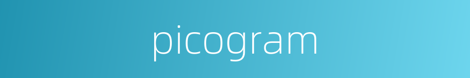 picogram的同义词