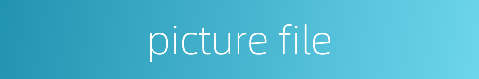 picture file的同义词