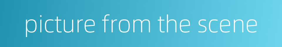 picture from the scene的同义词