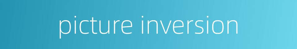 picture inversion的同义词