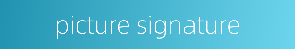 picture signature的同义词