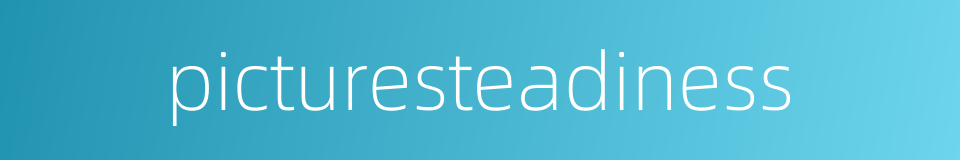 picturesteadiness的同义词