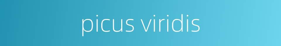 picus viridis的同义词