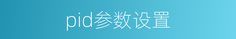 pid参数设置的同义词