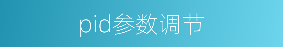 pid参数调节的同义词