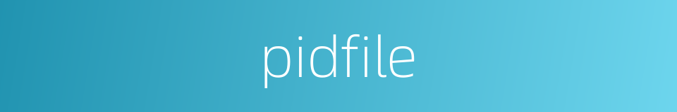 pidfile的同义词