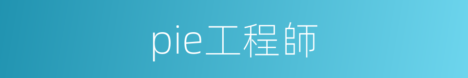 pie工程師的同義詞