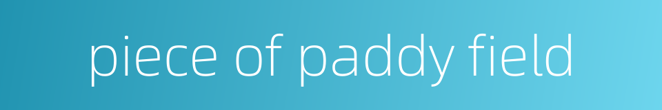 piece of paddy field的同义词