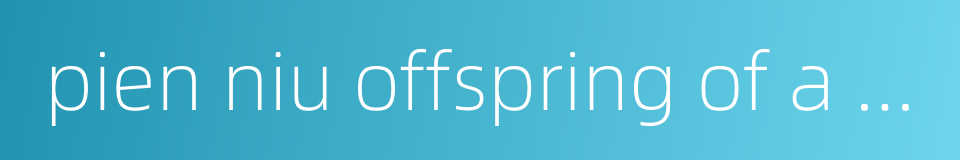 pien niu offspring of a bull and a female yak的同义词