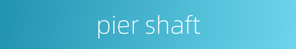 pier shaft的同义词