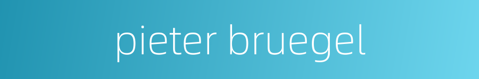 pieter bruegel的同义词