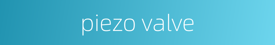 piezo valve的同义词