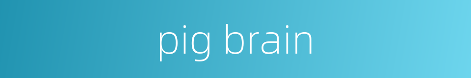 pig brain的同义词