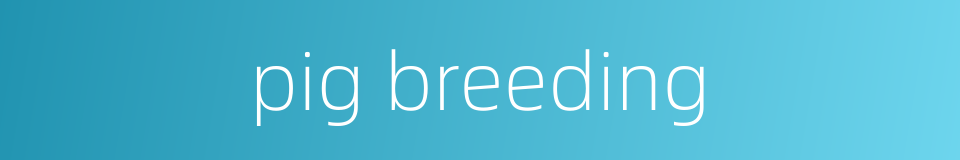 pig breeding的同义词