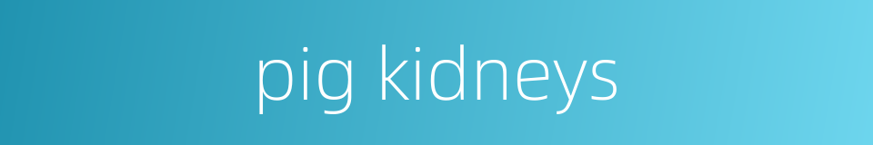 pig kidneys的同义词