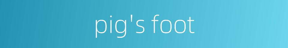 pig's foot的同义词