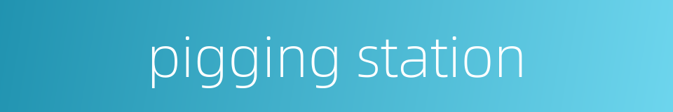 pigging station的同义词
