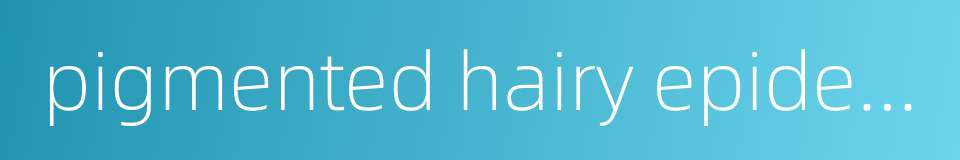 pigmented hairy epidermal nevus的同义词