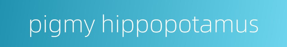 pigmy hippopotamus的同义词