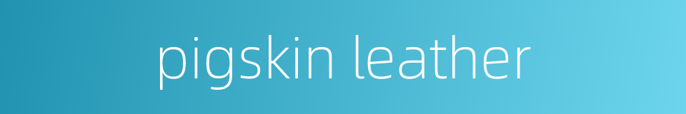 pigskin leather的同义词