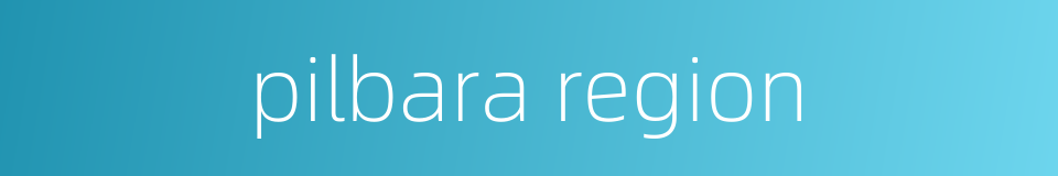 pilbara region的同义词