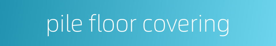 pile floor covering的同义词