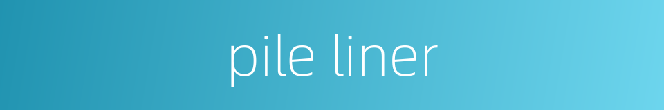 pile liner的同义词