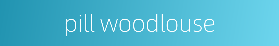 pill woodlouse的同义词