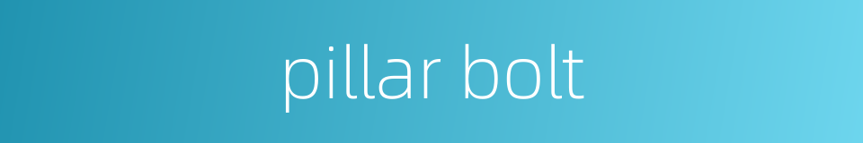 pillar bolt的同义词